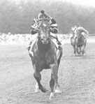 Spectacular Bid