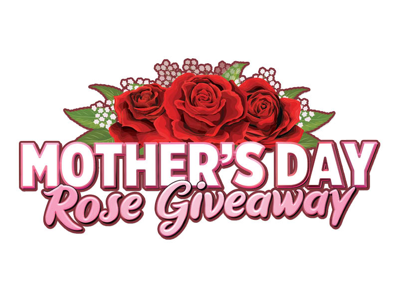 Mother's Day Rose Giveaway