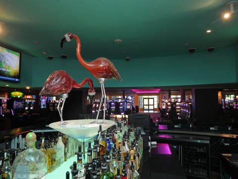 Flamingo Bar