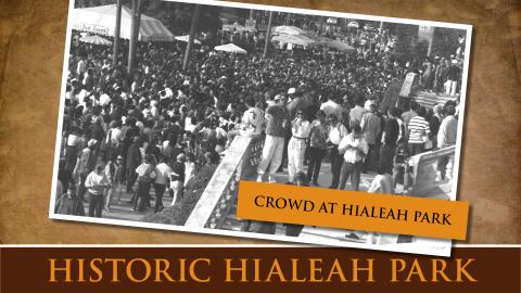 Crowd at Hialeah Park