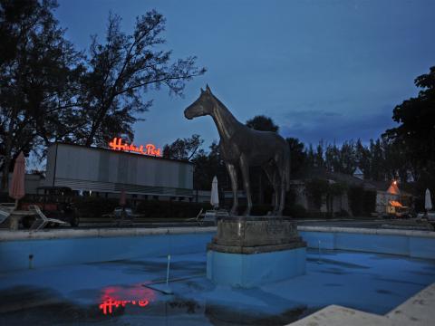 Horse Fountain